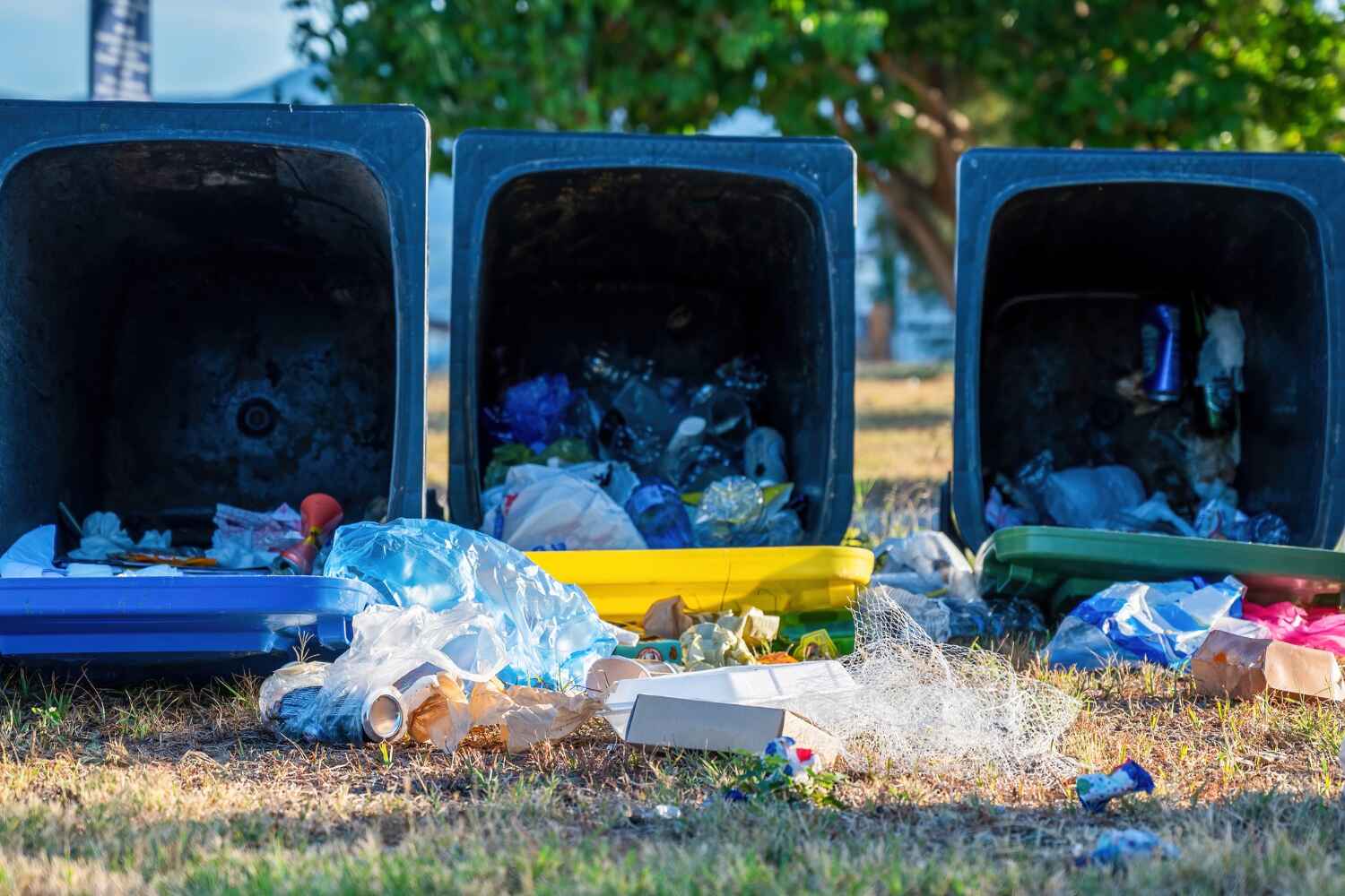 Debris Removal in Destin, FL